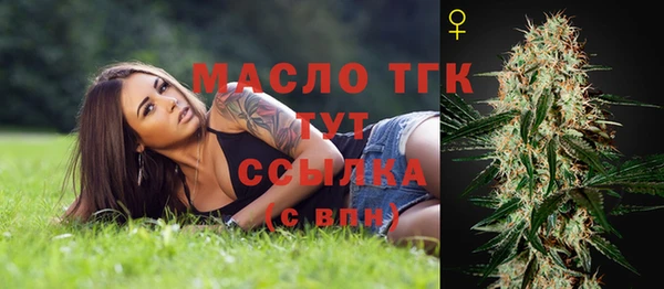 прущие грибы Верея