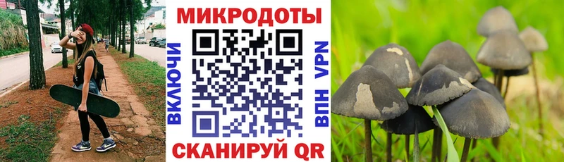 Галлюциногенные грибы Cubensis Таганрог